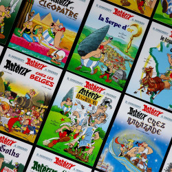 Discover Asterix & Compagnie from Matagot