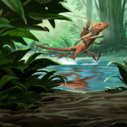 Discover Everdell Pearlbrook : Seconde Edition from Matagot