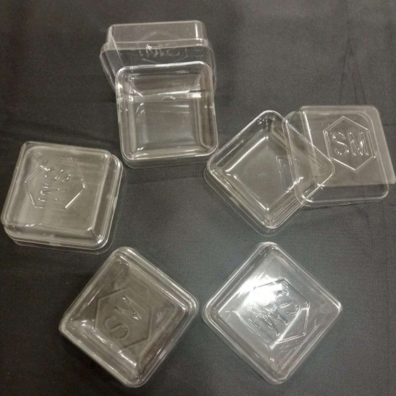 Discover WINGSPAN - storage box from Matagot