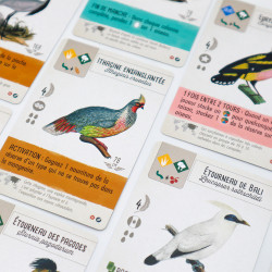 Découvrir Wingspan Fan-Designed Packs de Matagot