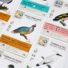 Découvrir Wingspan Fan-Designed Packs de Matagot
