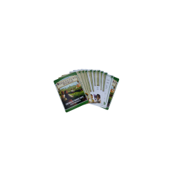 Discover Viticulture World Promo Cards from Matagot